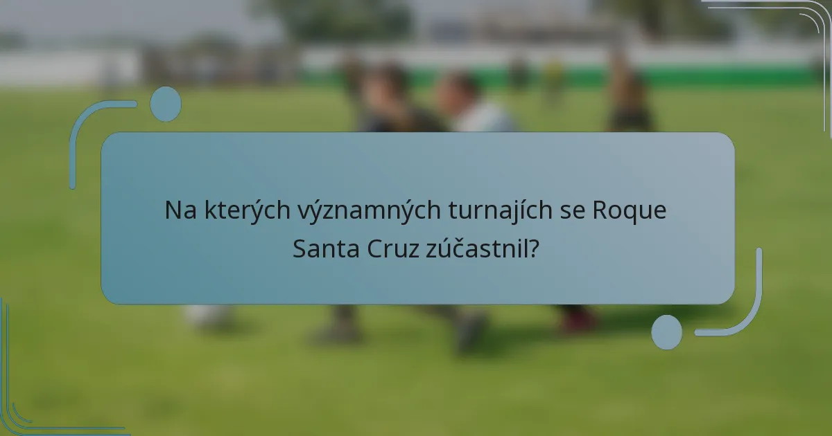 Na kterých významných turnajích se Roque Santa Cruz zúčastnil?