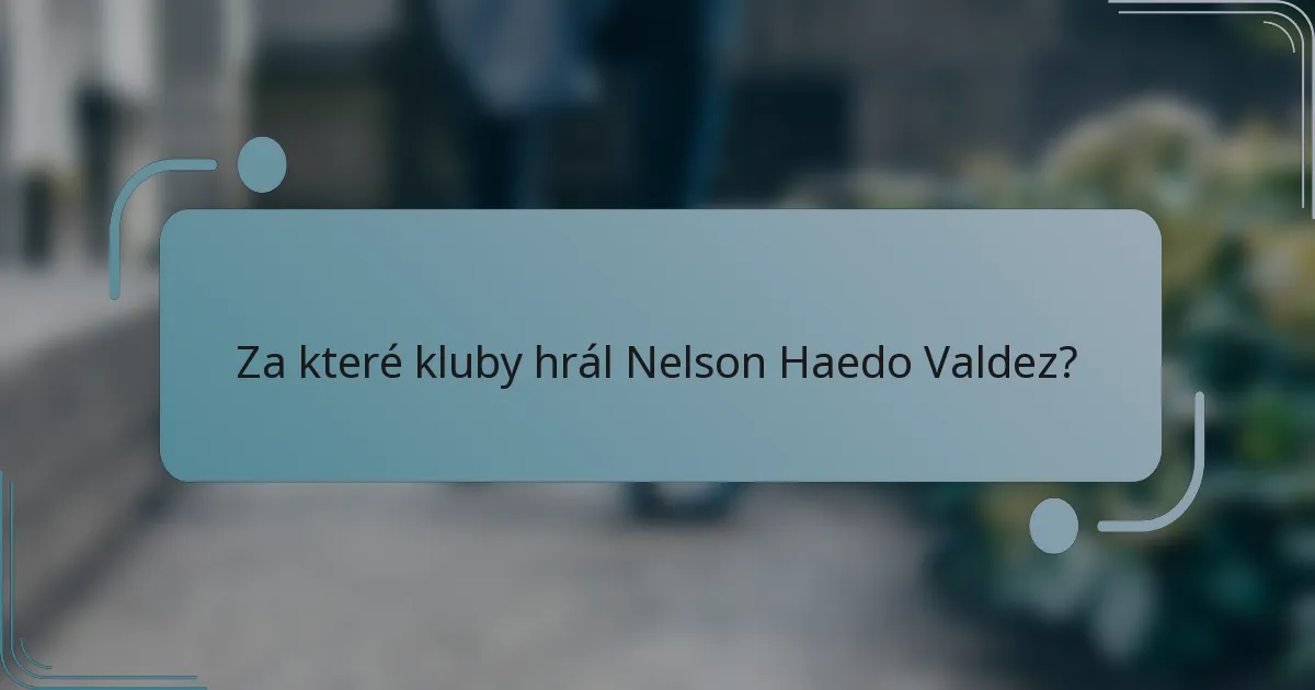 Za které kluby hrál Nelson Haedo Valdez?