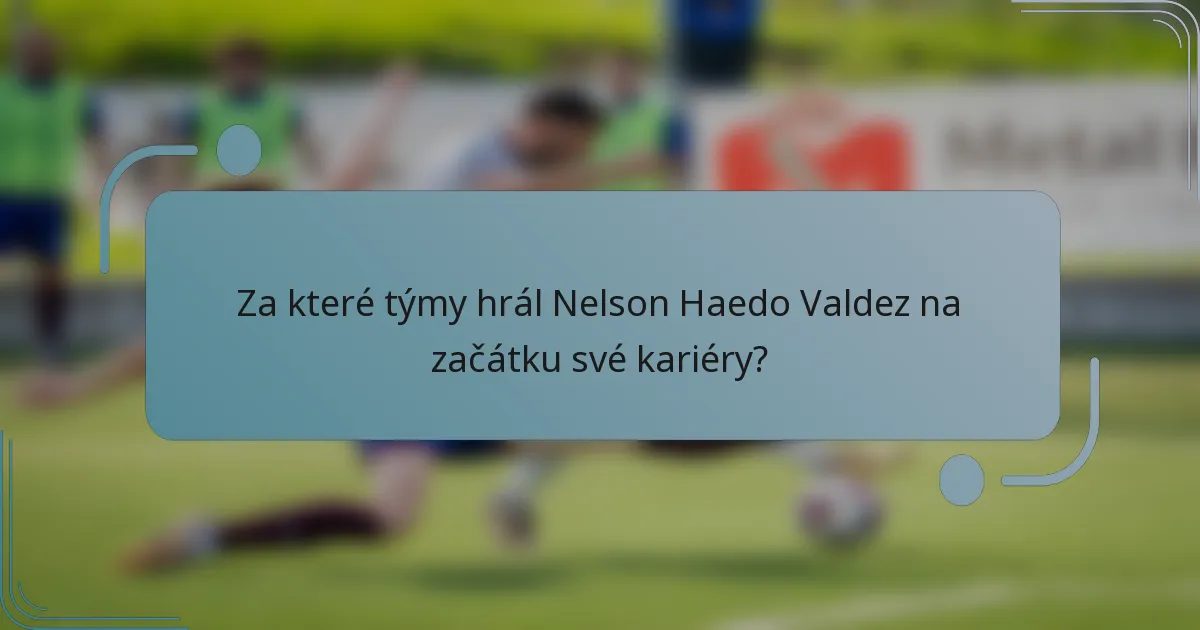Za které týmy hrál Nelson Haedo Valdez na začátku své kariéry?